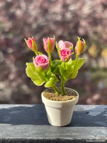 Casas de muñecas: Rosal en miniatura casa de muñecas